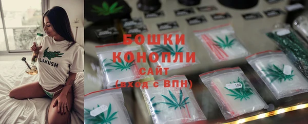 стаф Белокуриха