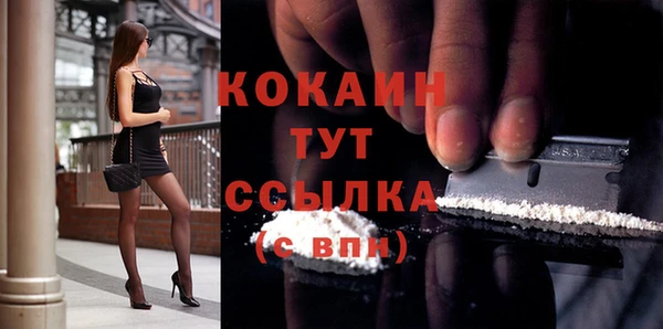 МДПВ Нея